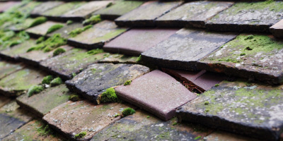 Downside roof repair costs